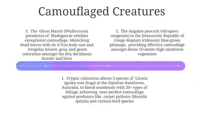 Strange animals 4