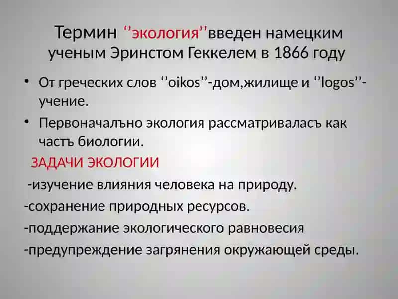 Понятие об экологии 4