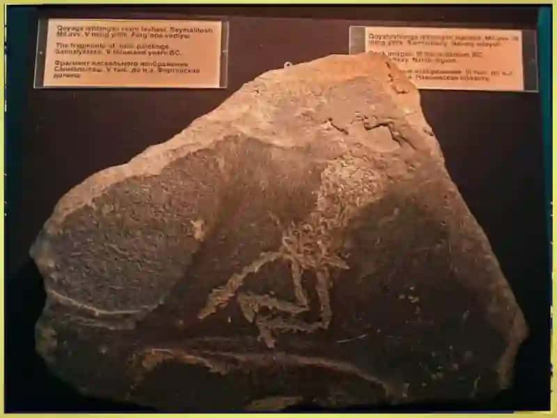 Oʻzbekiston hududidagi qoyatoshsuratlar va ularning davrlari foto albom 4