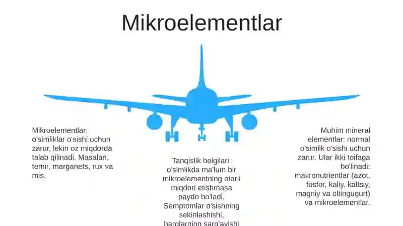 OʻSimliklarning Mineral Tarkibi 4
