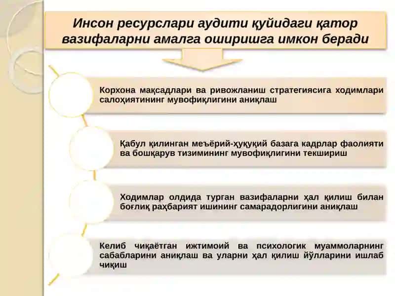 Инсон ресурслари аудити 4