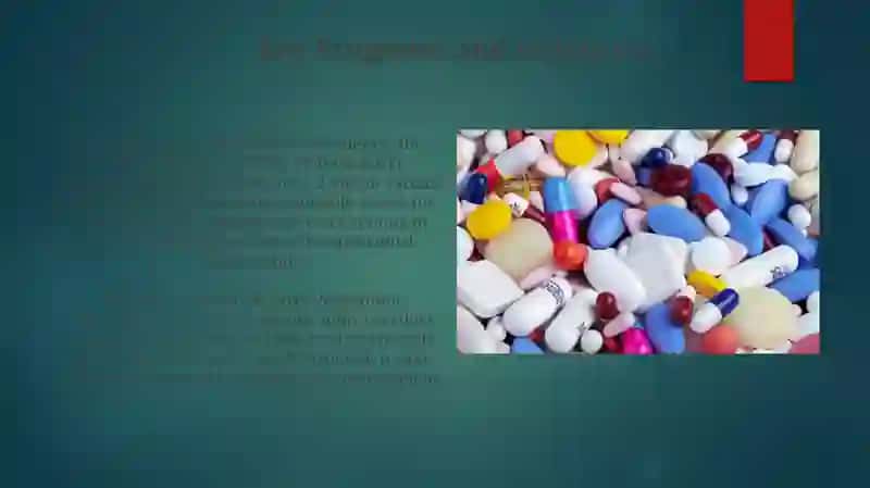 World health organization 4