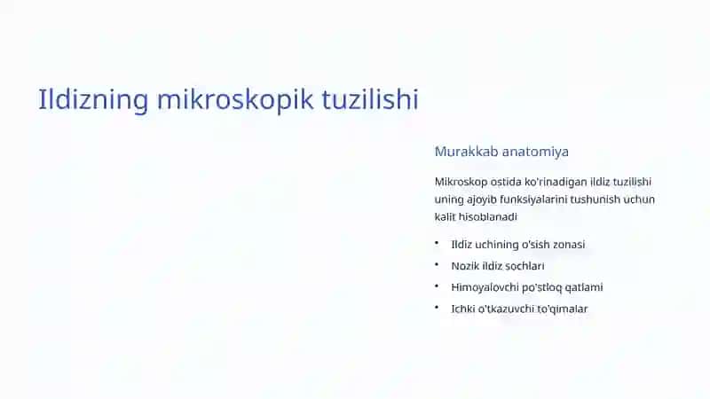 Ildizning Tuzilishi va Funksiyasi 4