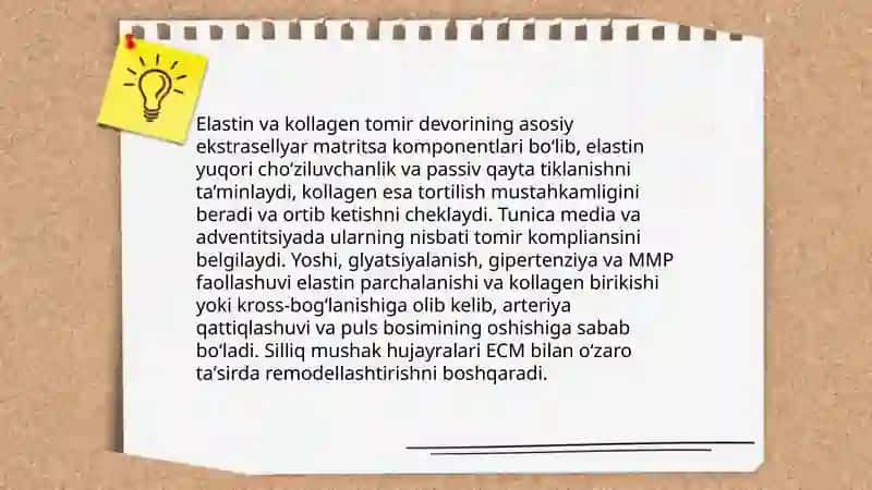 Qon tomirlar elastikligi va unga taʼsir qiluvchi omillar 4