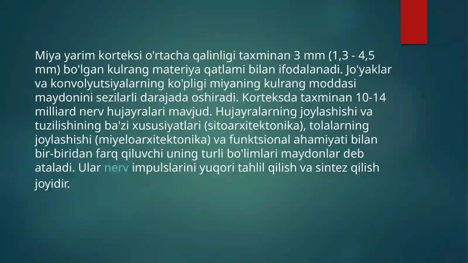 Miyayarimkorteksi 4