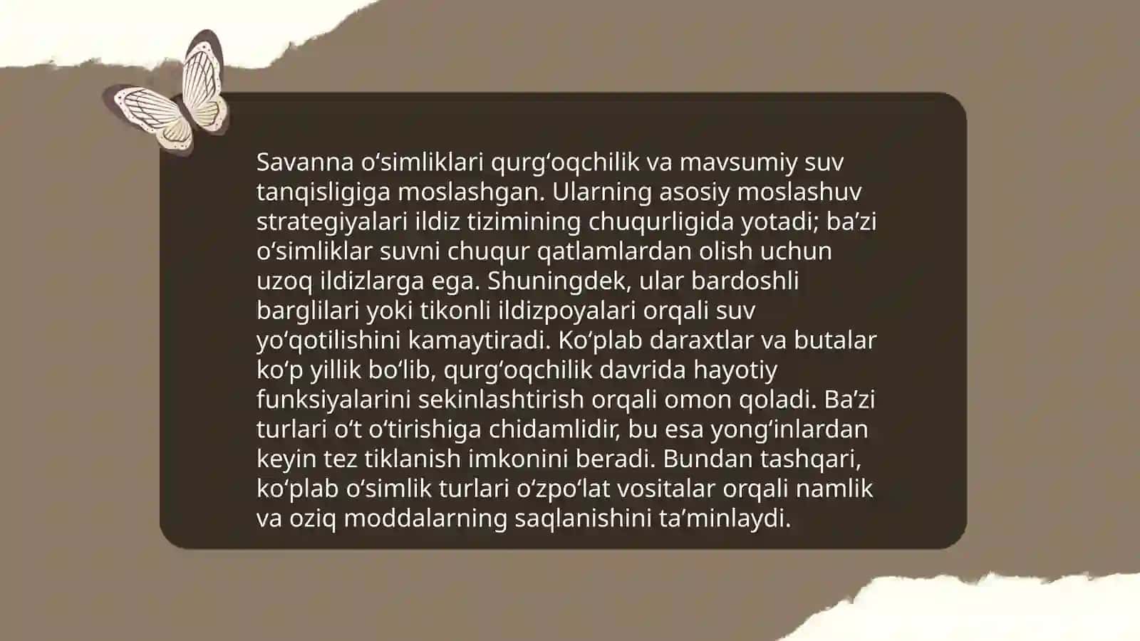 Savanna taqdimotlari 4