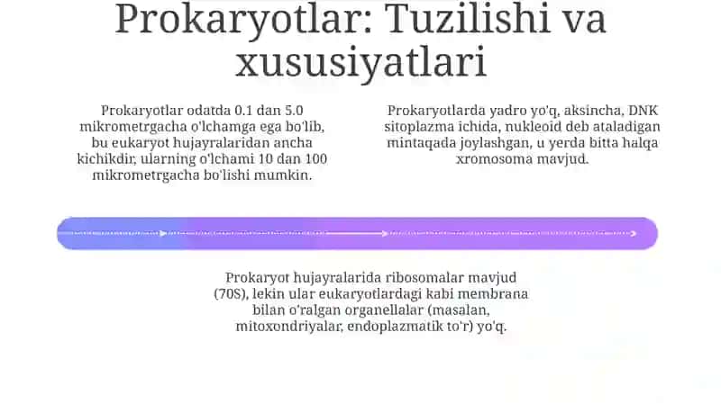 O'simlik va hayvon hujayralari: o'xshashliklar va farqlar 4