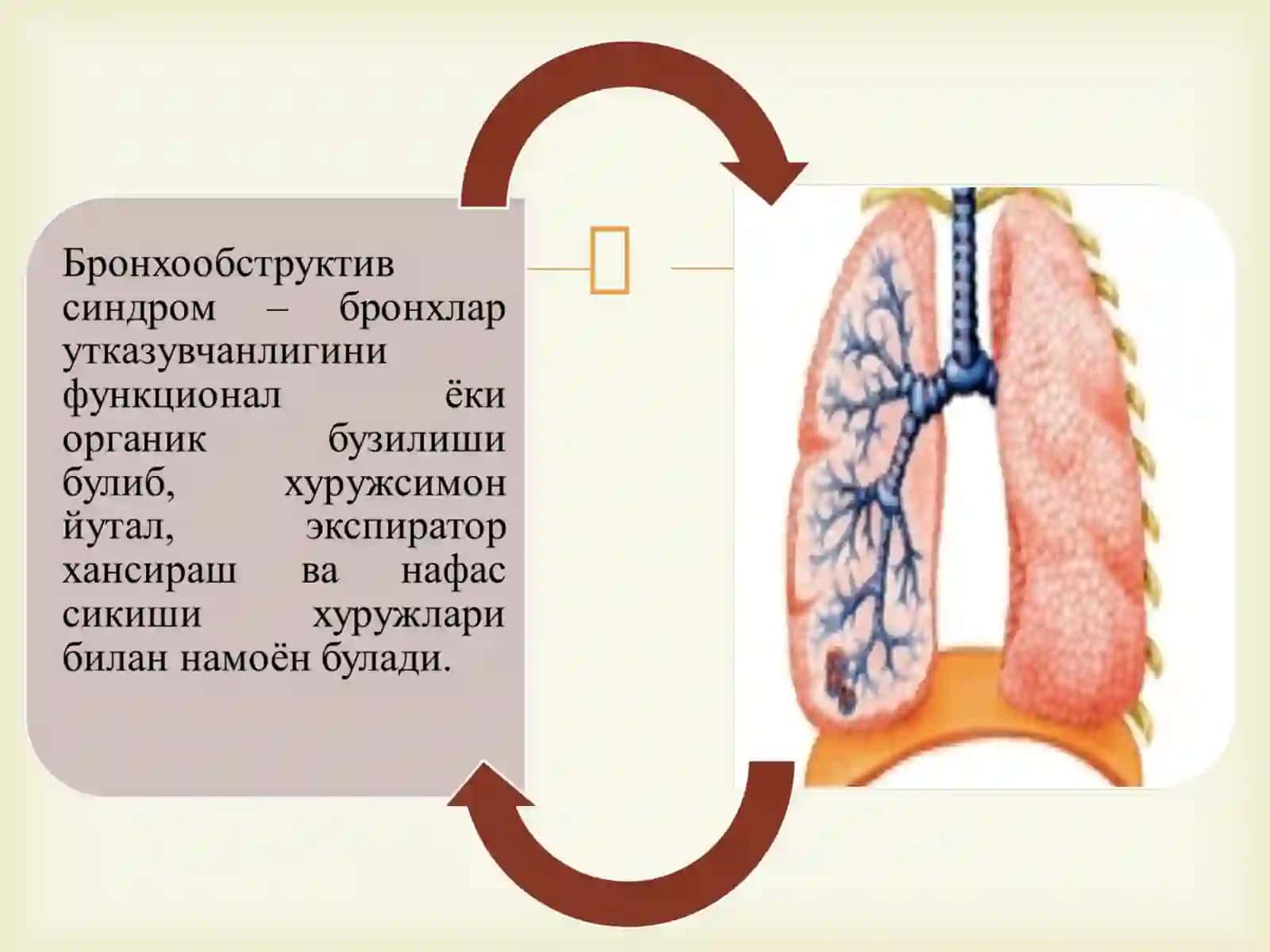 Умумий амалиет шифокори бронхообструктив синдром 4