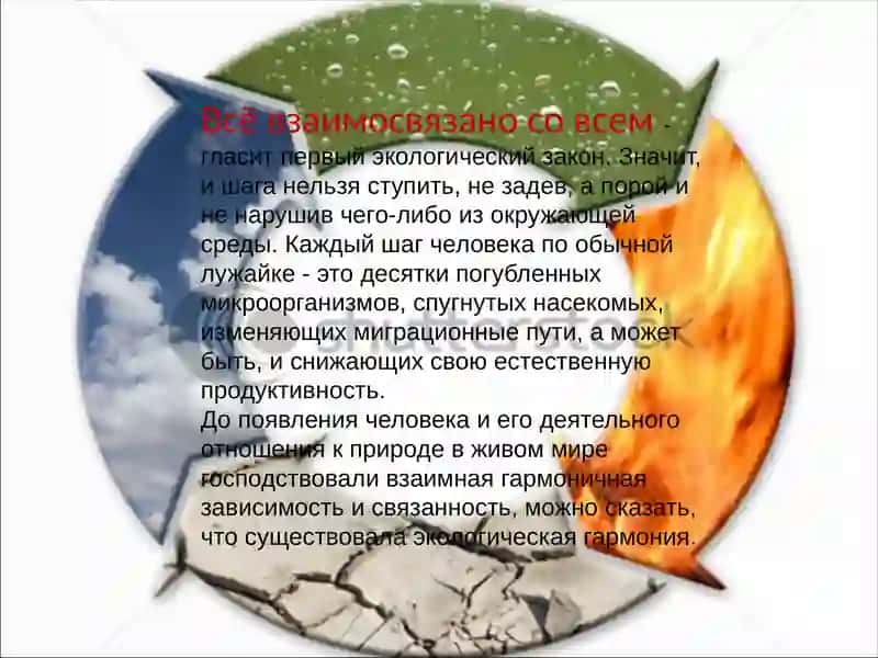 ЭКОЛОГИЧЕСКИЕ ПРОБЛЕМЫ СОВРЕМЕННОГО МИРА 4