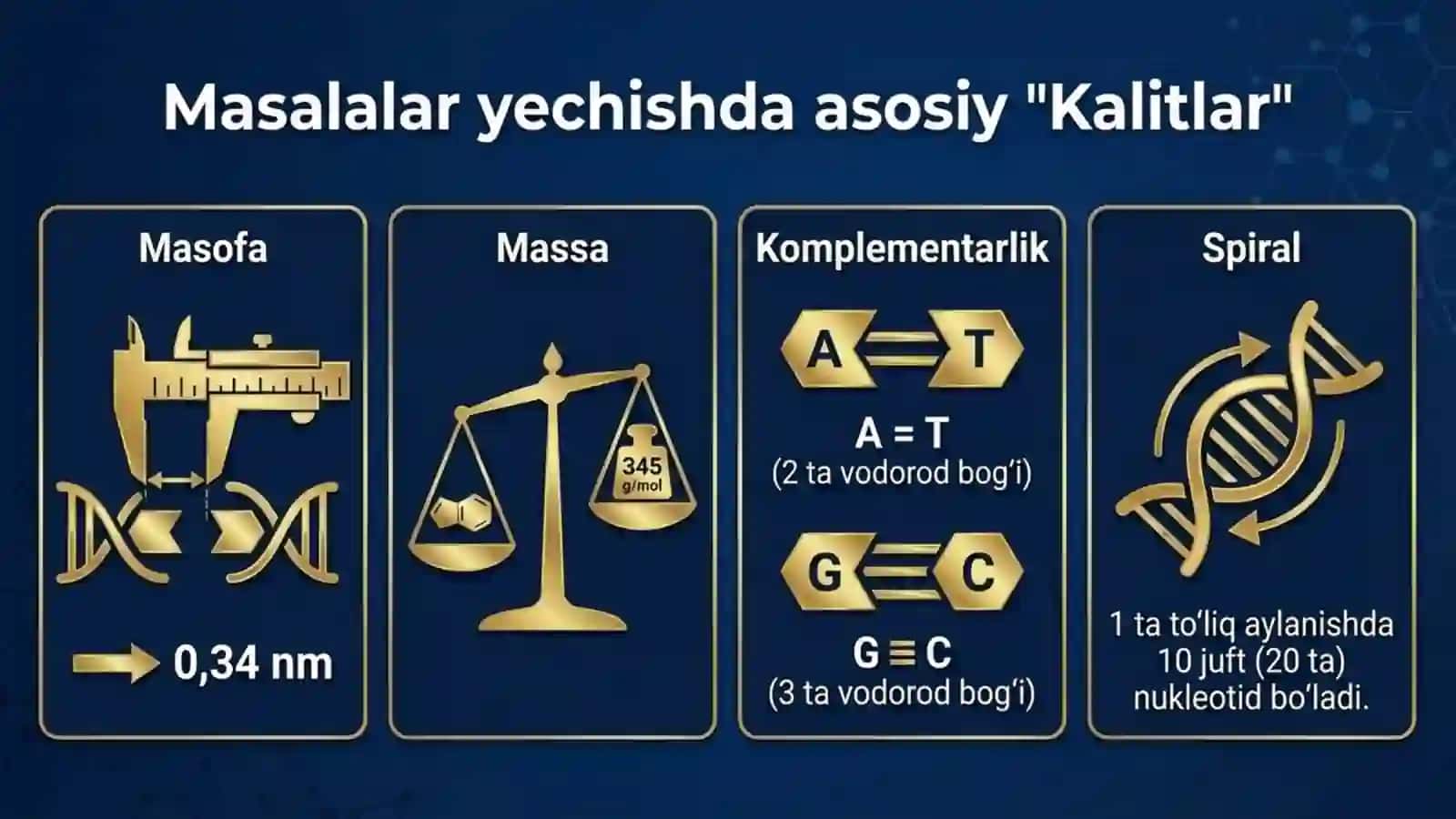 DNK va RNK tuzilishiga doir masalalar yechish 4