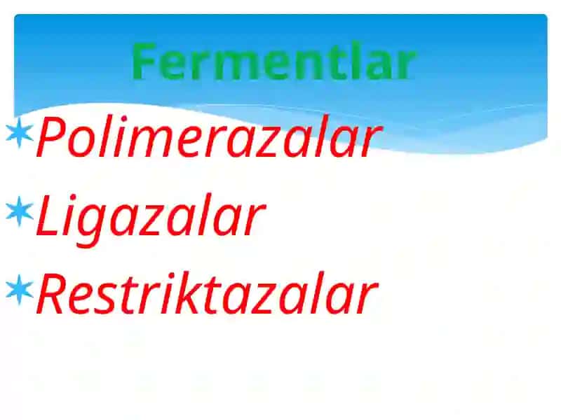 Gen muhandisligida qo`llaniladigan fermentlar 4