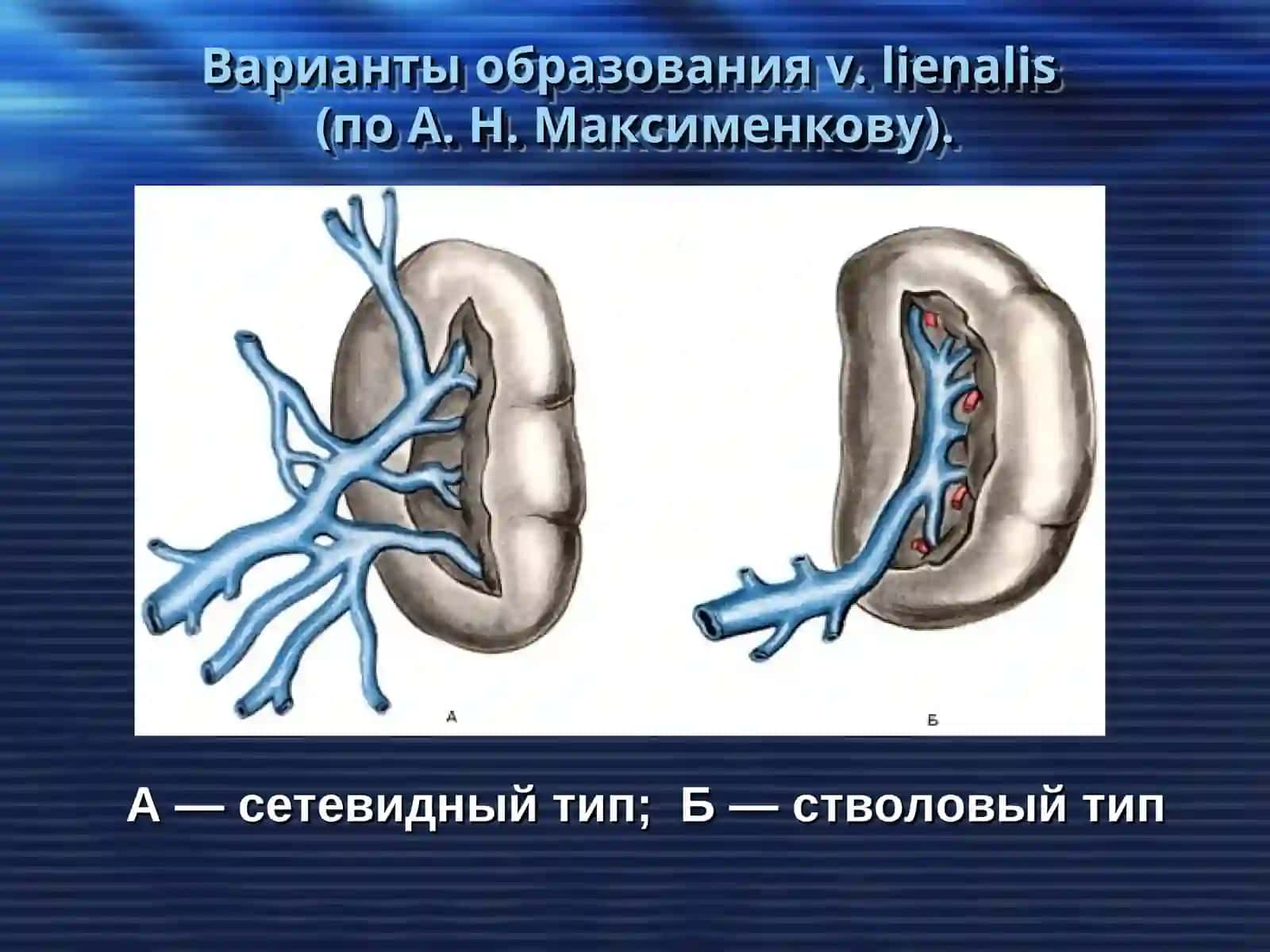 Хирургические заболевания селезенки 4