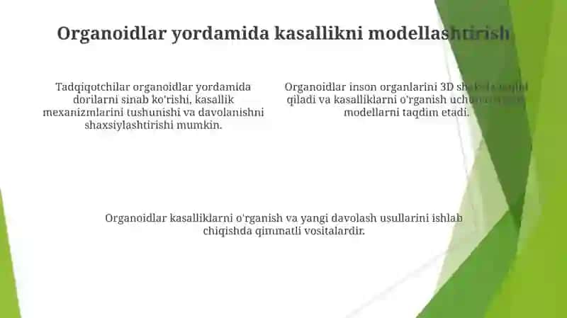 Hujayra Organoidlari 4