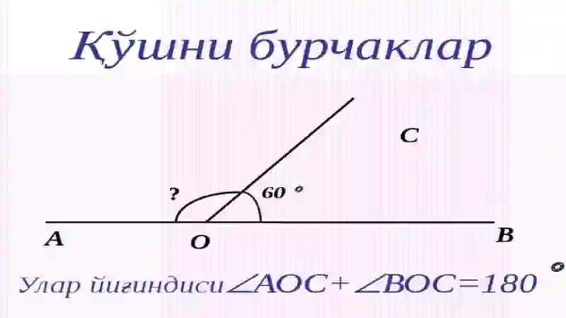 Бурчаклар ва уларнинг турлари 4