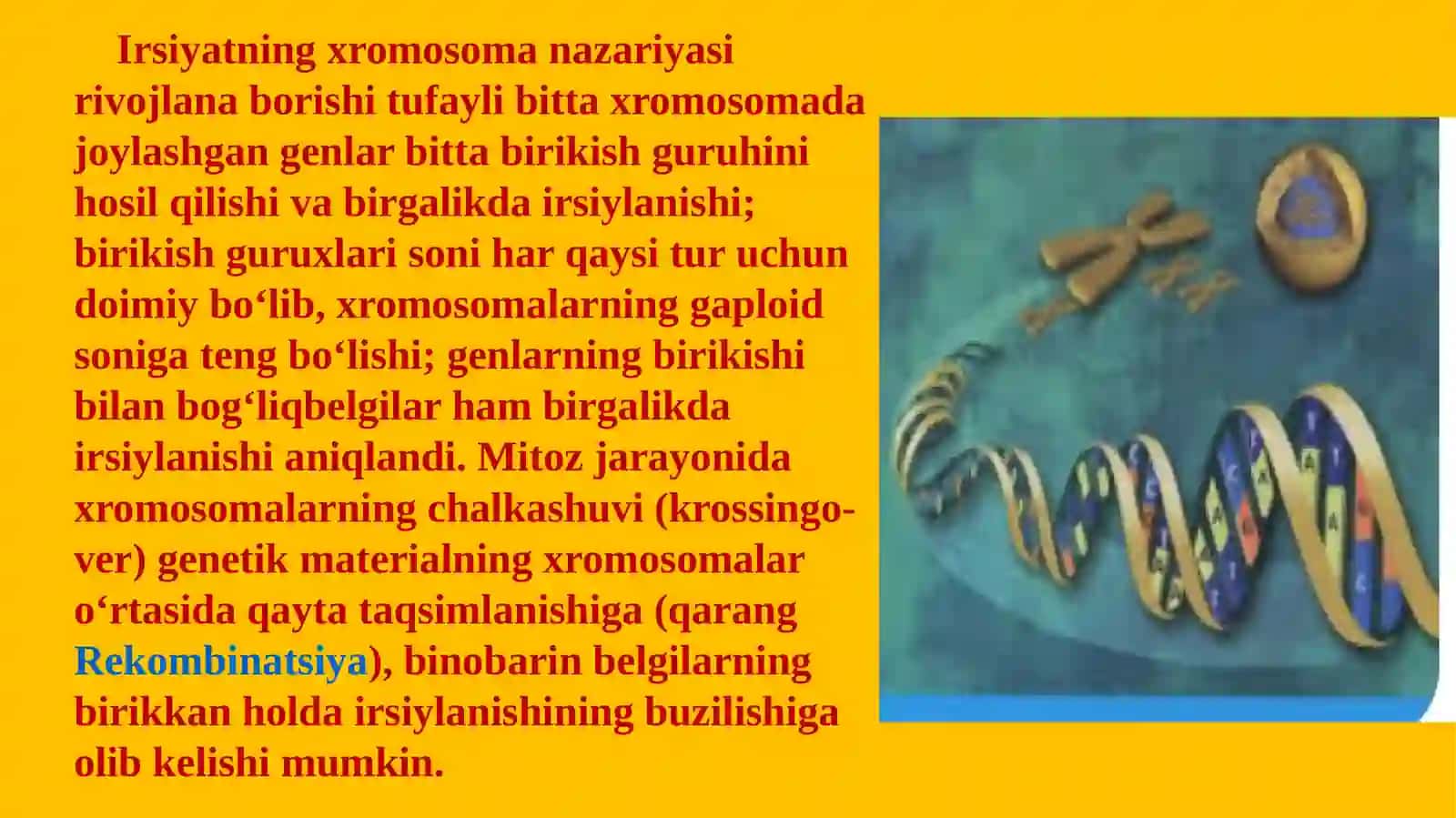Irsiyatning xromosoma nazariyasi.T.G.Morgan 4