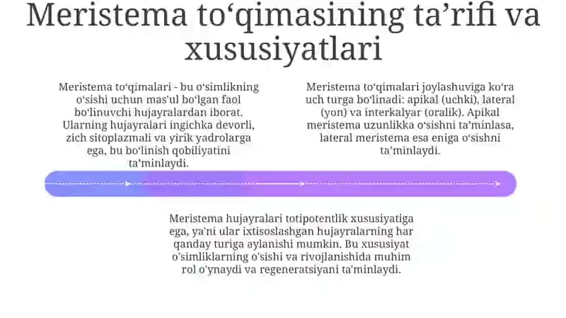 Meristema to'qimasining tuzilishi 4