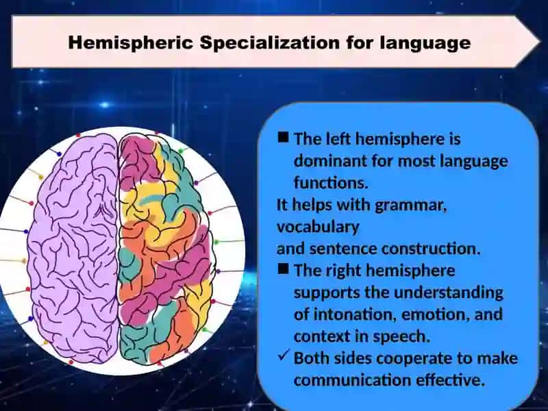 Psychological slide about Hemispheric Specialization and Brain Mechanisms of Language 4