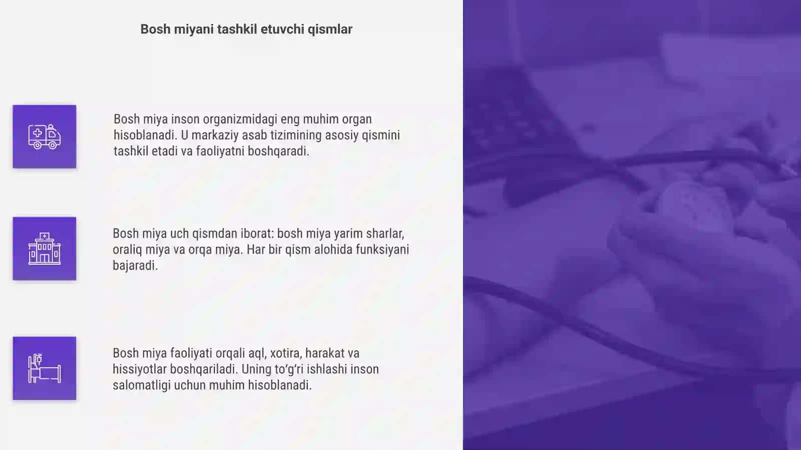 Bosh miya tuzilishi vazifasi va ahamiyati 4