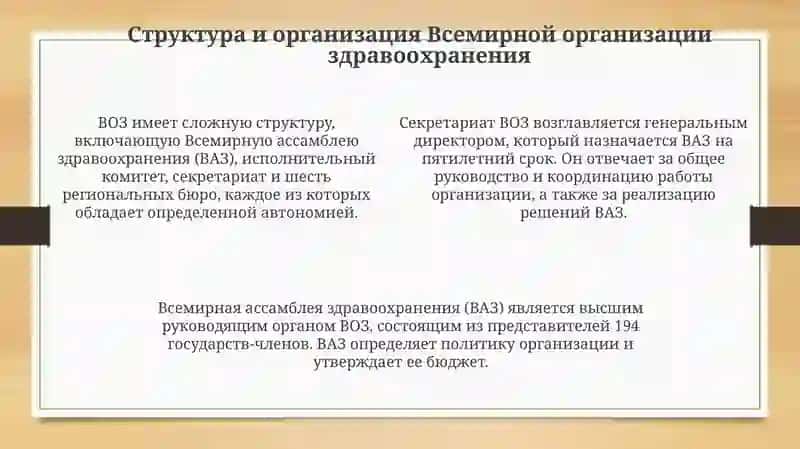 Всемирная Организация Здравоохранения 4