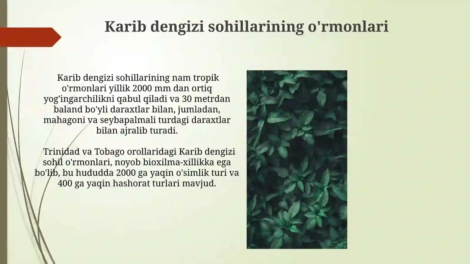 Janubiy amerika tabiat zonasi 4