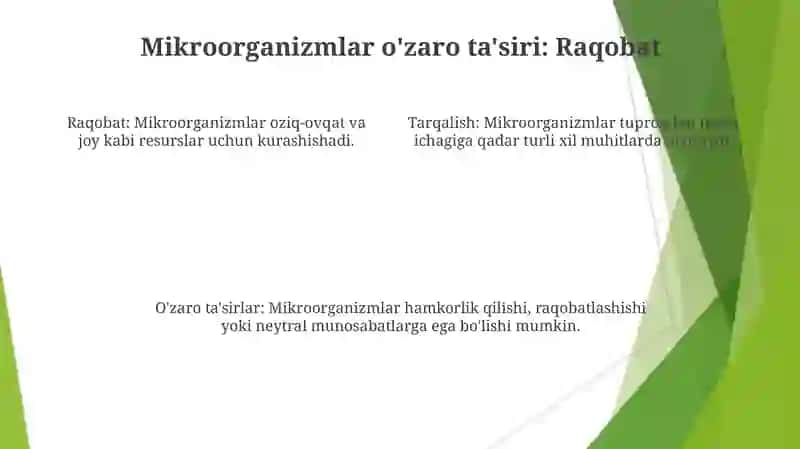 Mikroorganizmlarning tabiatda tarqalishi 4