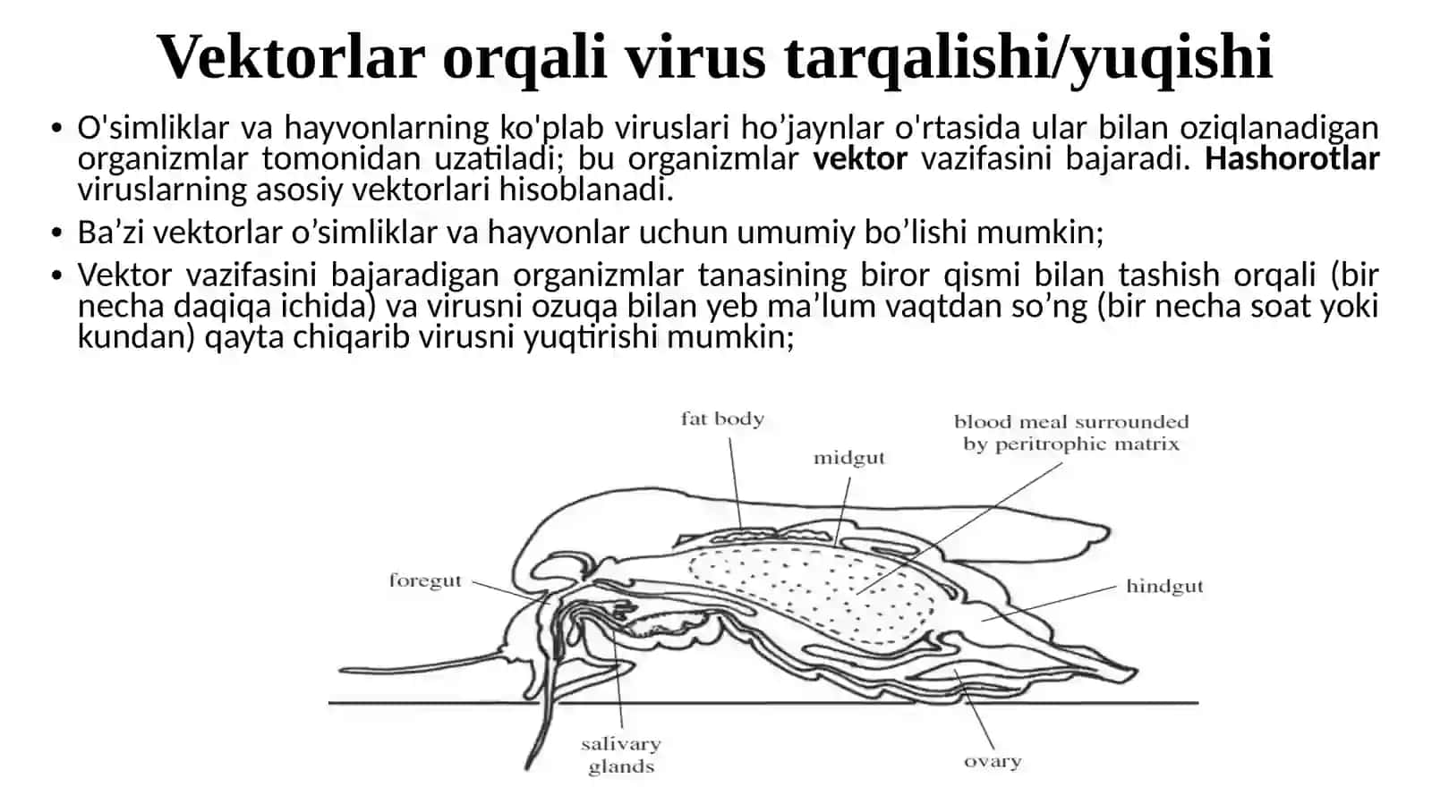 VIRUSLARNING TARQALISHI 4