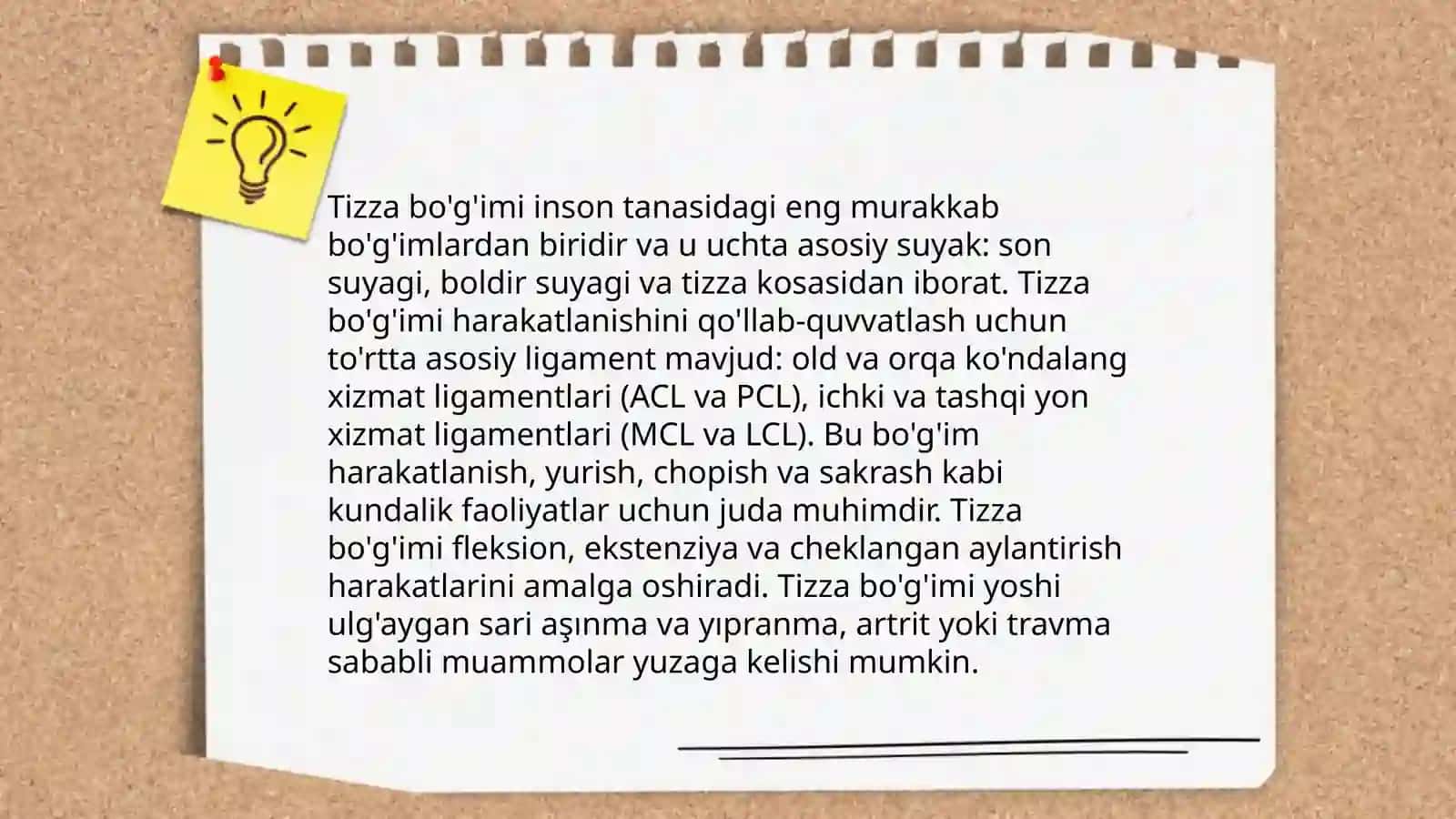 Tizza bo'g'imi anatomiyasi 4