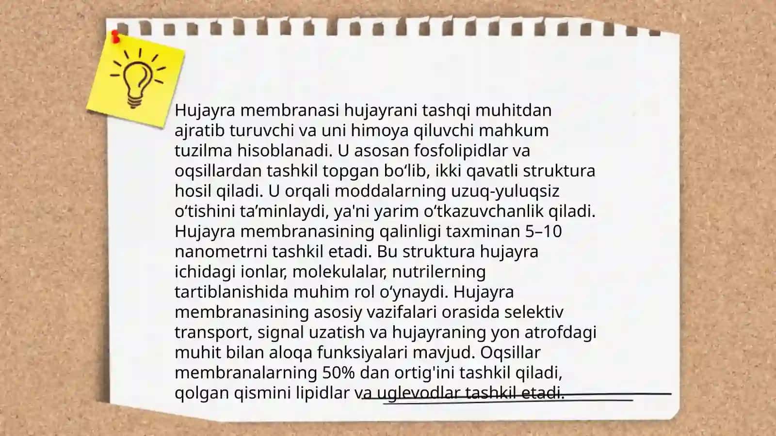 Hujayra to’qimalari 4