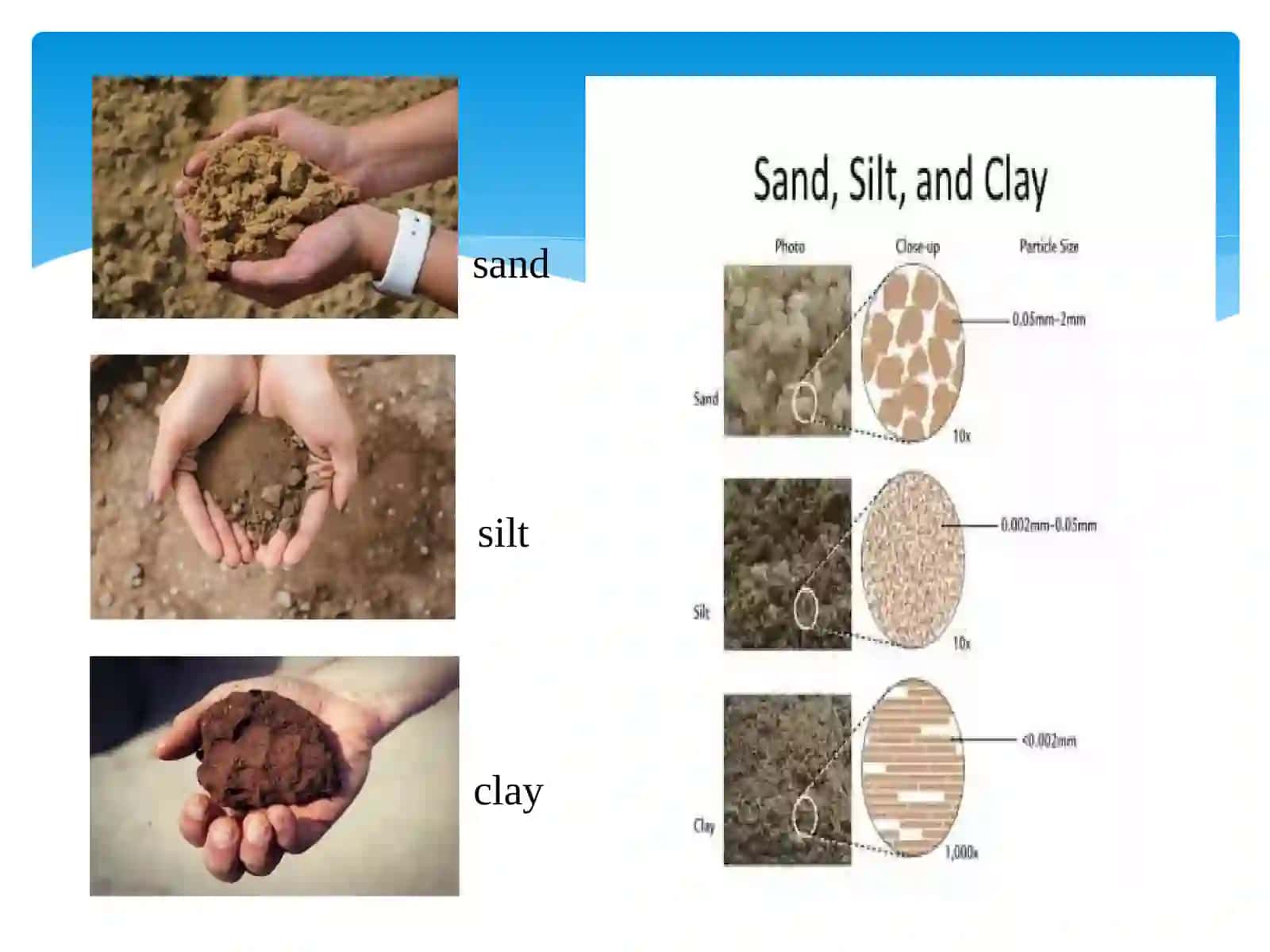 SOIL MICROBIOLOGY: MICROORGANISMS IN PLANT ROOTS AND THEIR IMPORTANCE 4