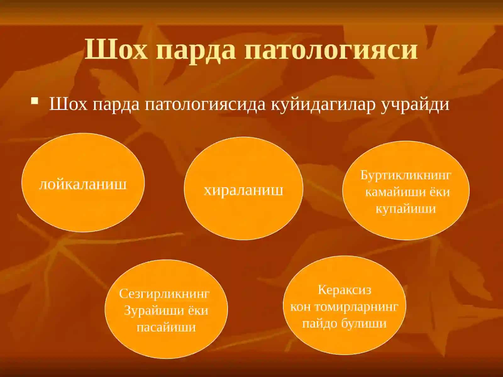 Шох парда патологияси 4