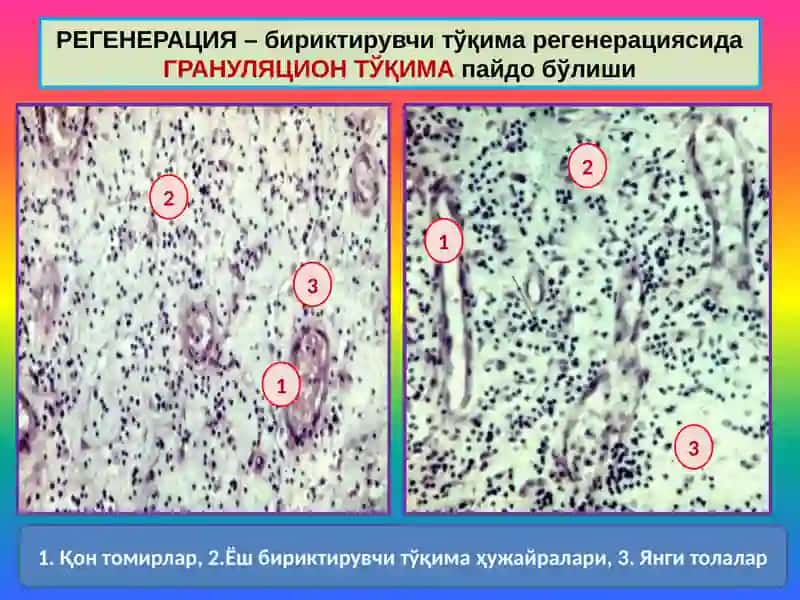 Мосланиш-ўрин алмашиниш жараёнлари 4