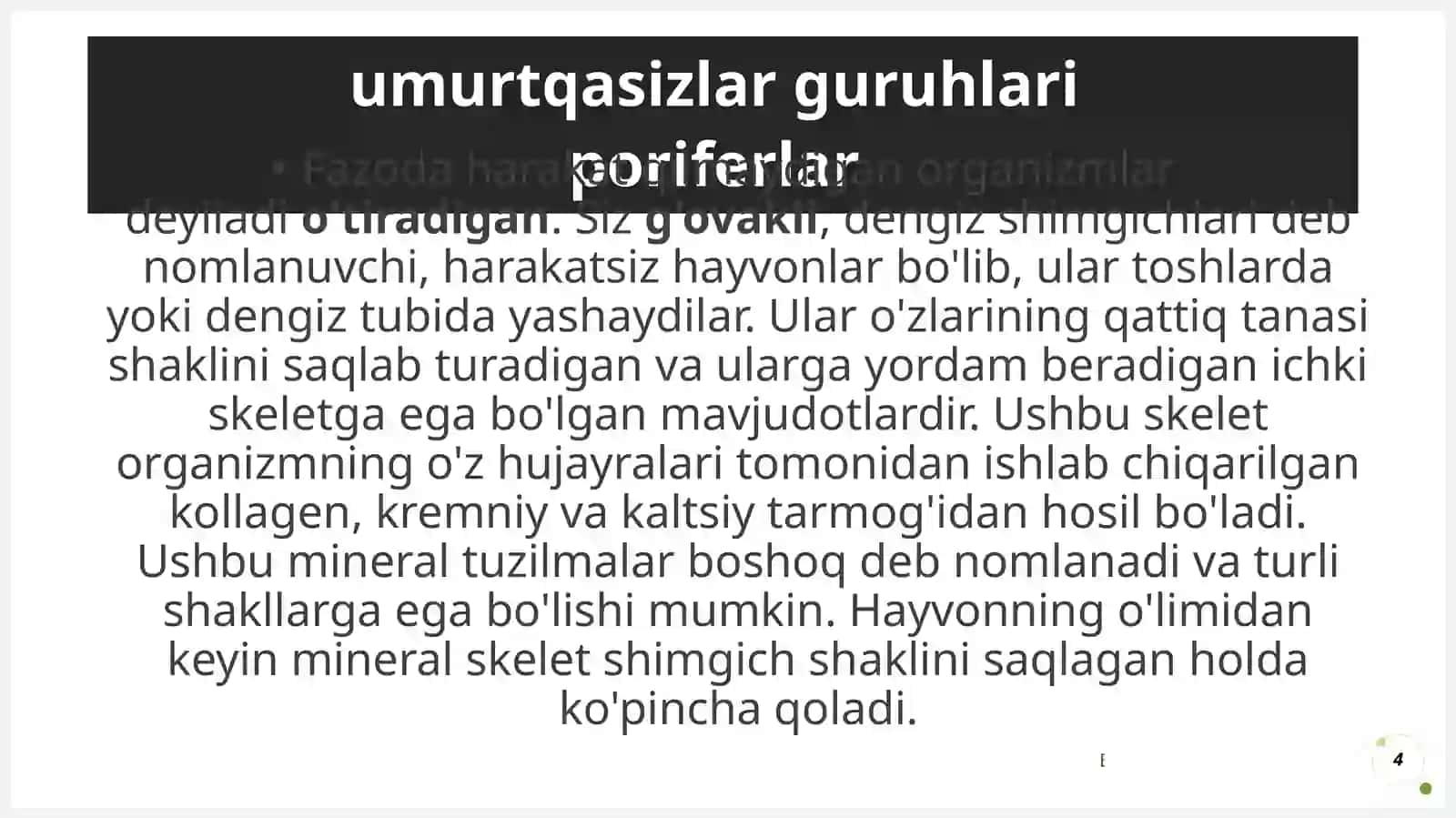 Umurtqasiz hayvonlar 4