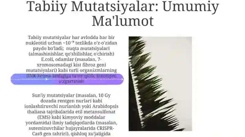Tabiiy va sunʼiy mutatsiyalar 4