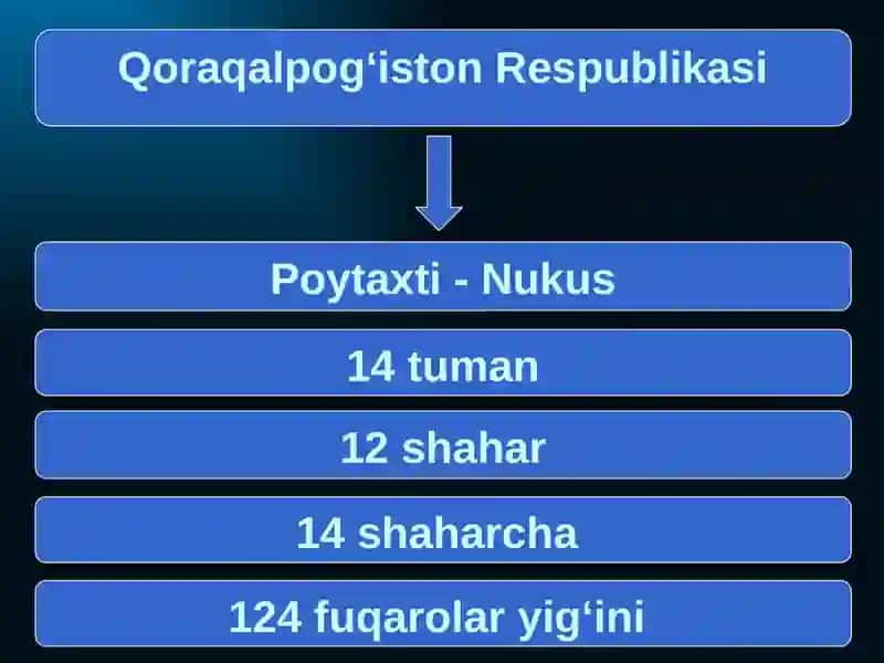 Mustaqillik yillarida Qoraqalpog‘iston Respublikasi 4