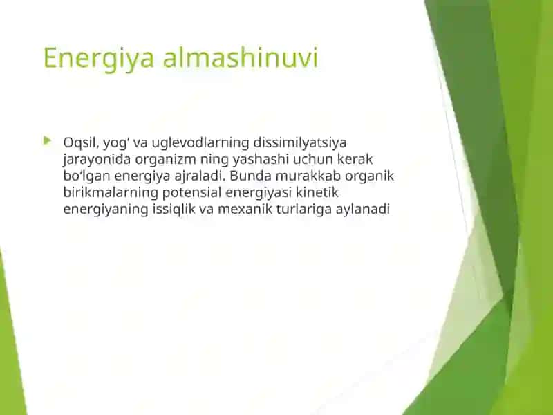 Moddalar va energiya almashinuvi 4