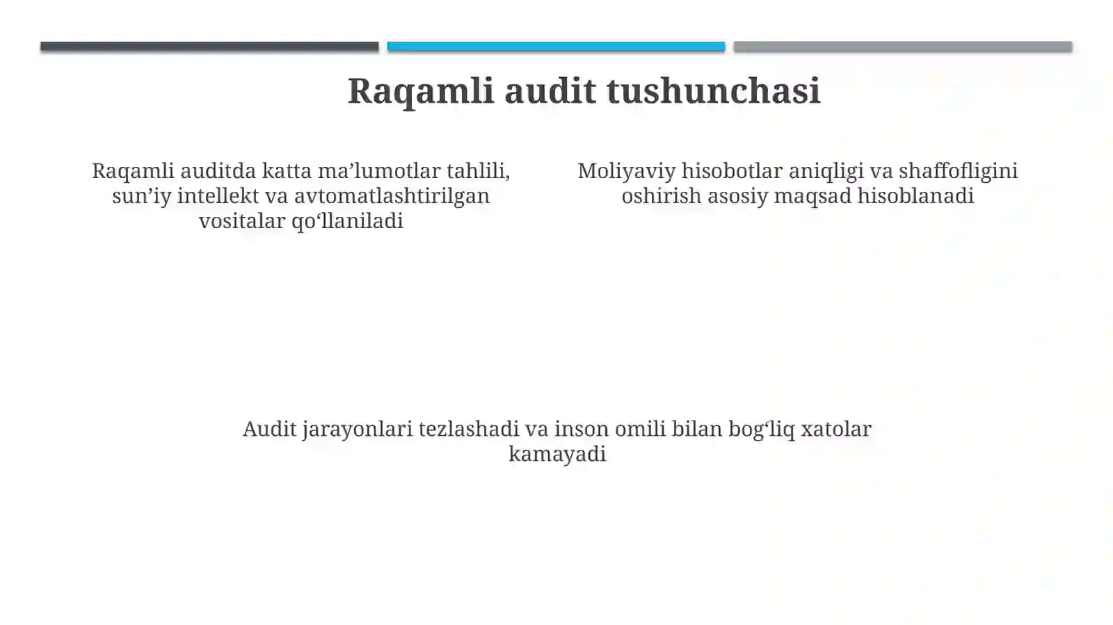 Raqamli audit va IT-konsalting xizmatlari 4