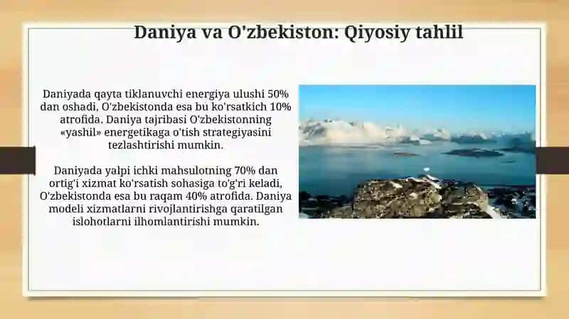 Daniya tajribasi: O'zbekiston uchun raqamli saboqlar 4
