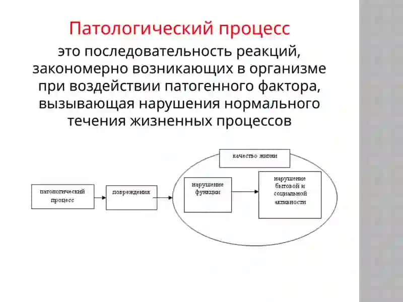 Патологическая реакция, Патологический процесс, патологическое состояние. 4