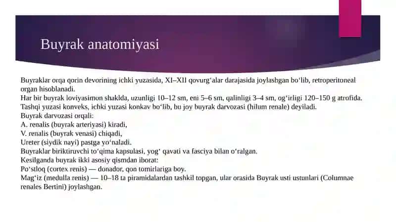siydik ayiruv tizimi gistologiyasi 4