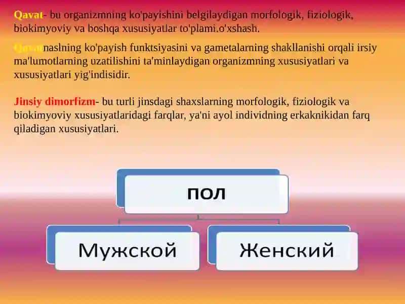 JINSGA BIRIKKAN GEN KASALIKLARI 4