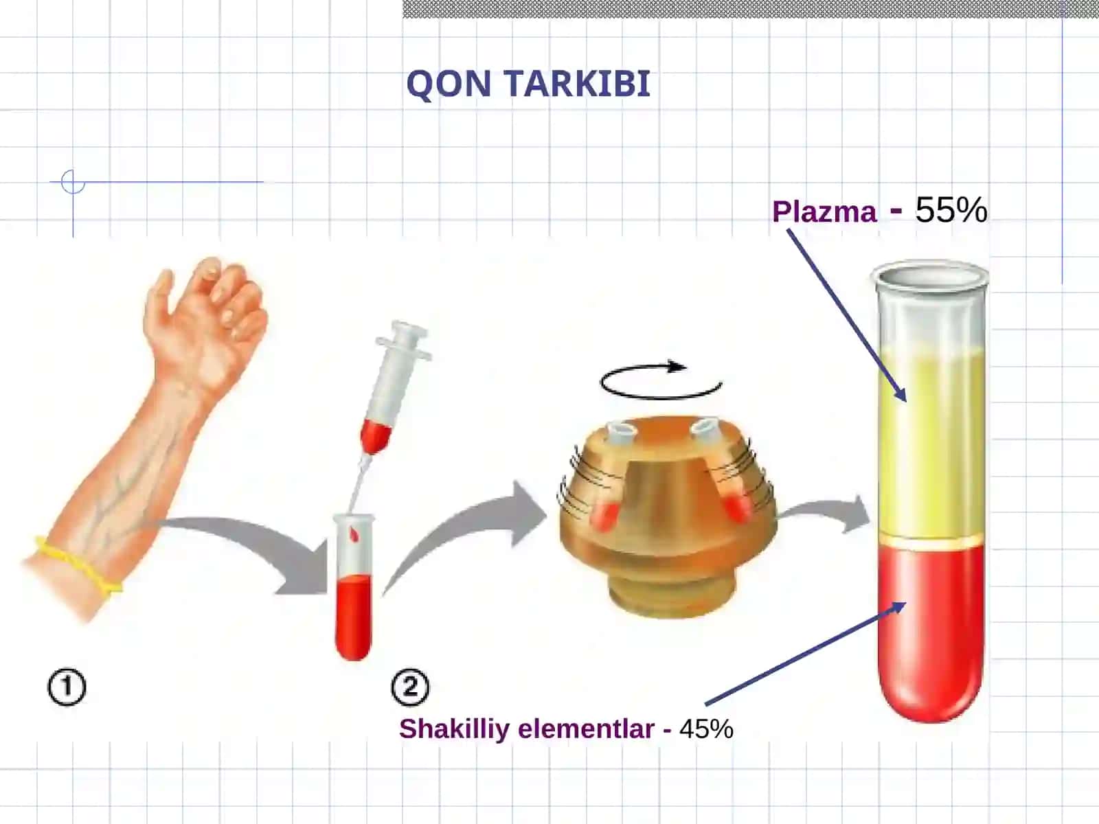 QON. QON YARATILISHI 4