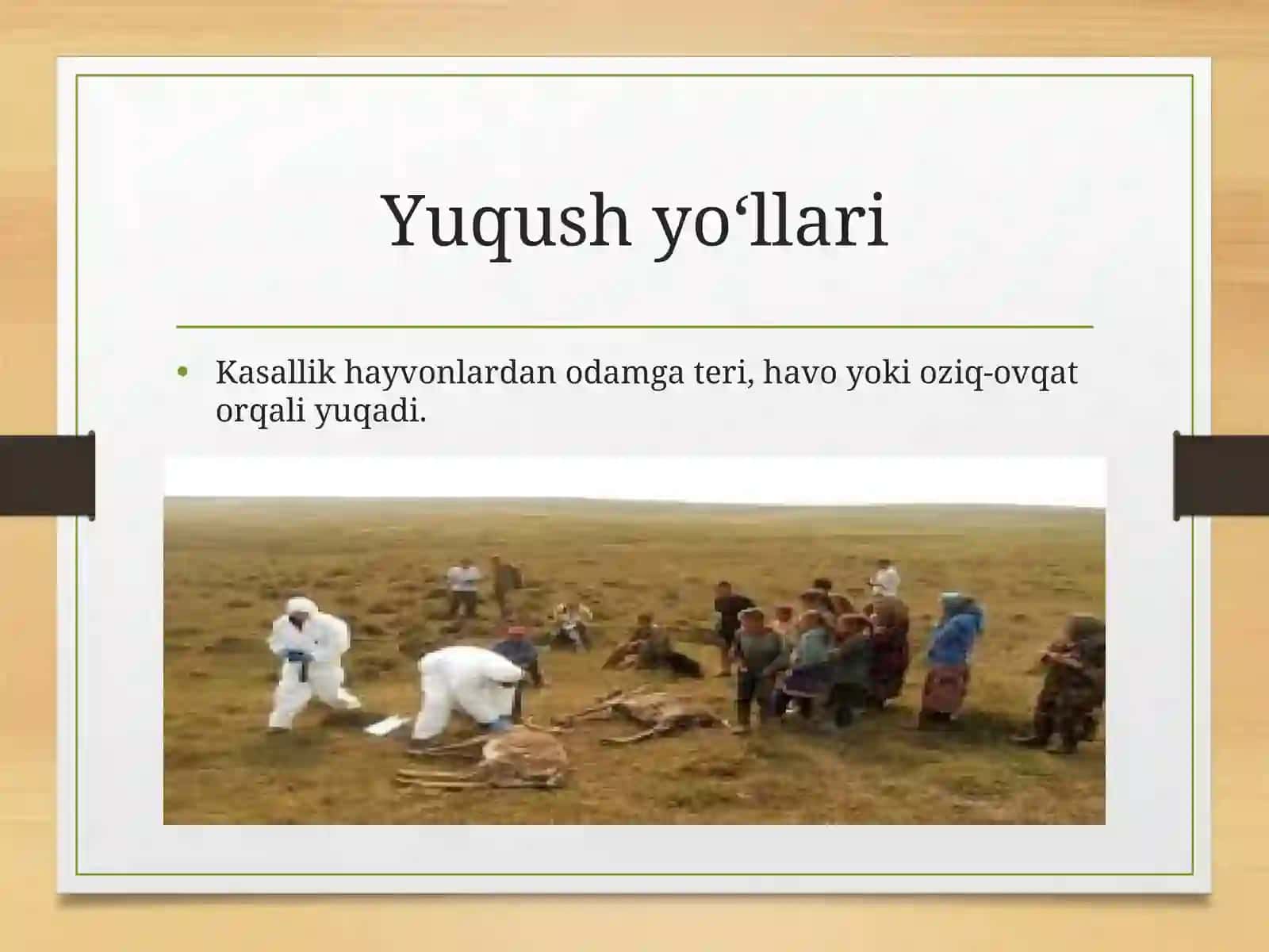 Kuydurgi kasalligi 4