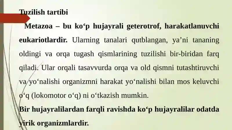 Ko‘p hujayralilar 4