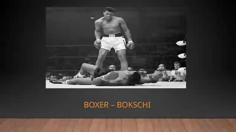 Boxer –bokschi 4