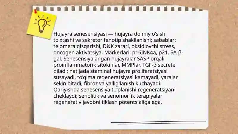 Gerantologiya. Regeneratsiya 4