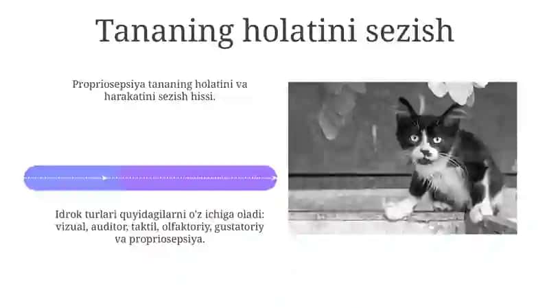 Sezgi turlari 4
