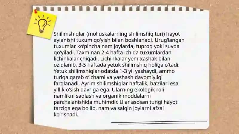 Shilimshiqlar 4