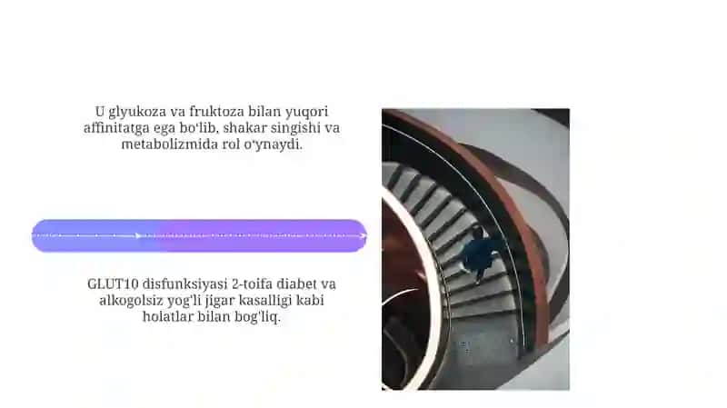 Glyukoza tashuvchilari klinik ahamiyati 4