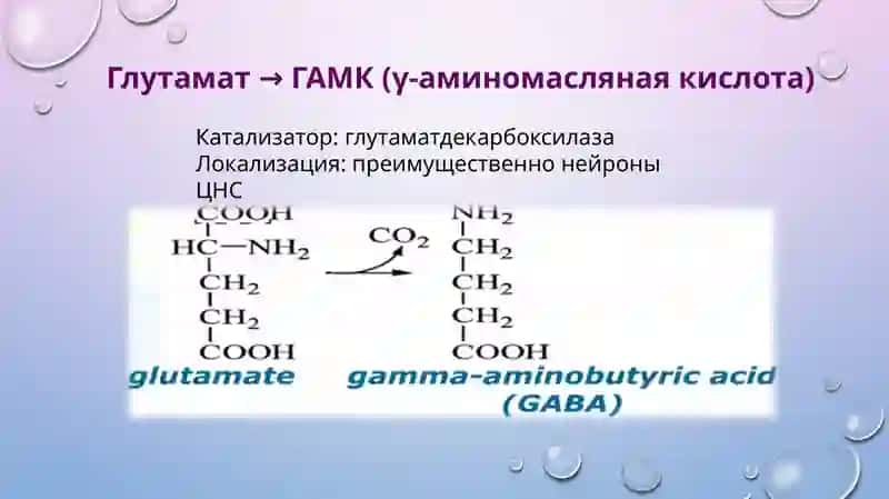 Декарбоксилирование аминокислот 4