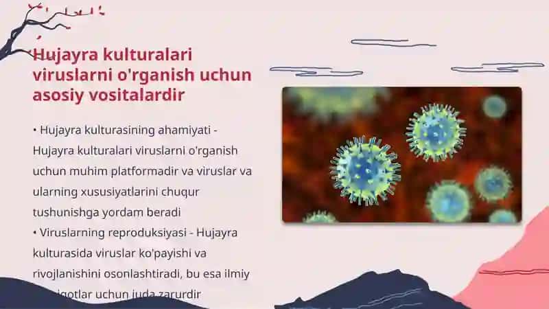 Hujayra kulturalari 4